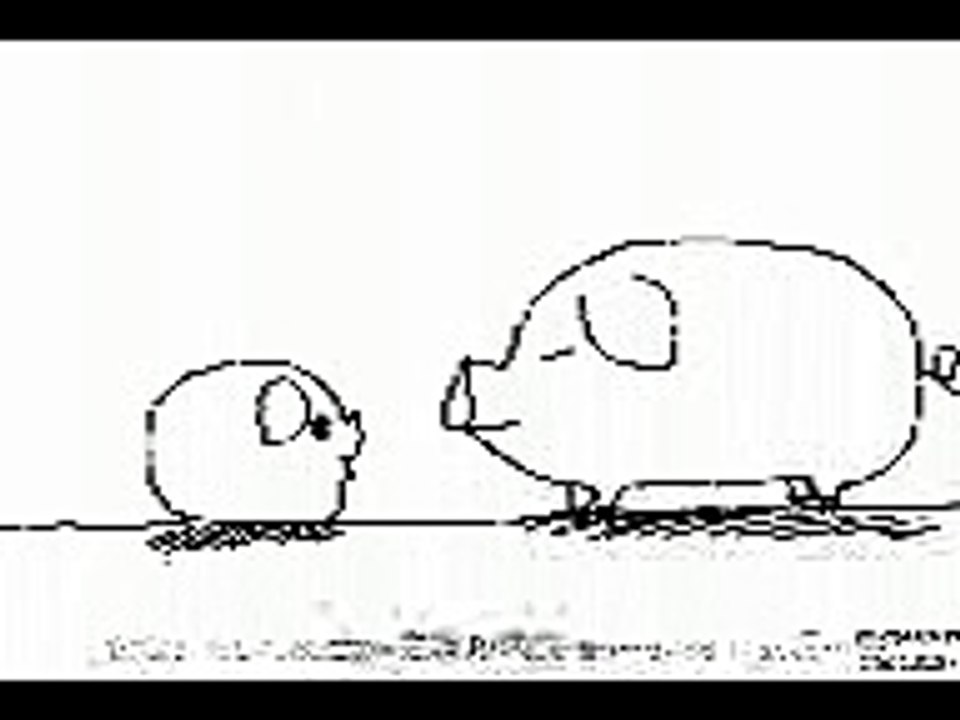 Pig Talk Funny 猪說笑話