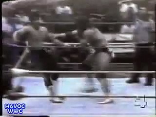 WWC: Especial Jungle Jim Steele