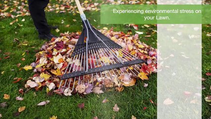 Degree Lawn & Landscape – A Full Service Landscape Business You Can Depend On