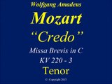 Mozart   KV 220   Credo   Tenor