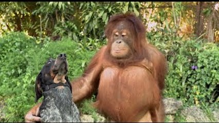 Android: Friends Forever