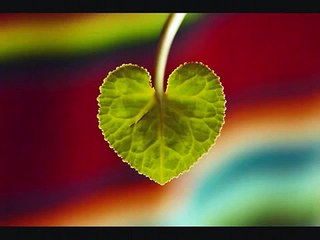 Padre Mariano de Blas - Reflexion sobre el Matrimonio