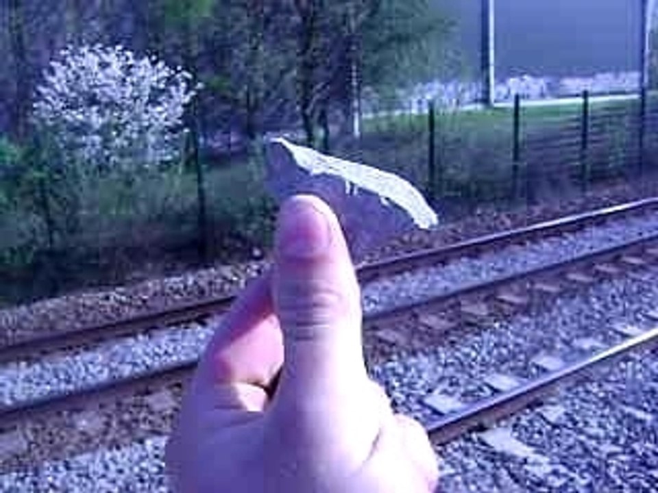Photo 069