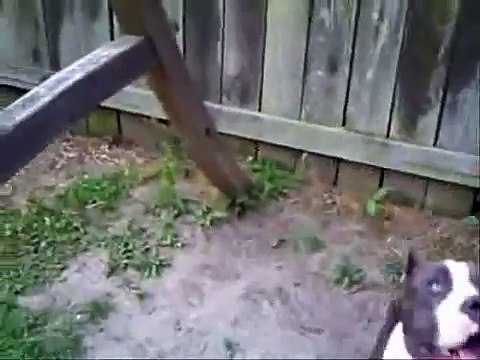 Southern Smoke Bullies Presents Jaega Razors Edge Gotti