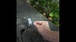 Artist's Adorable 3D Chalk Street Art