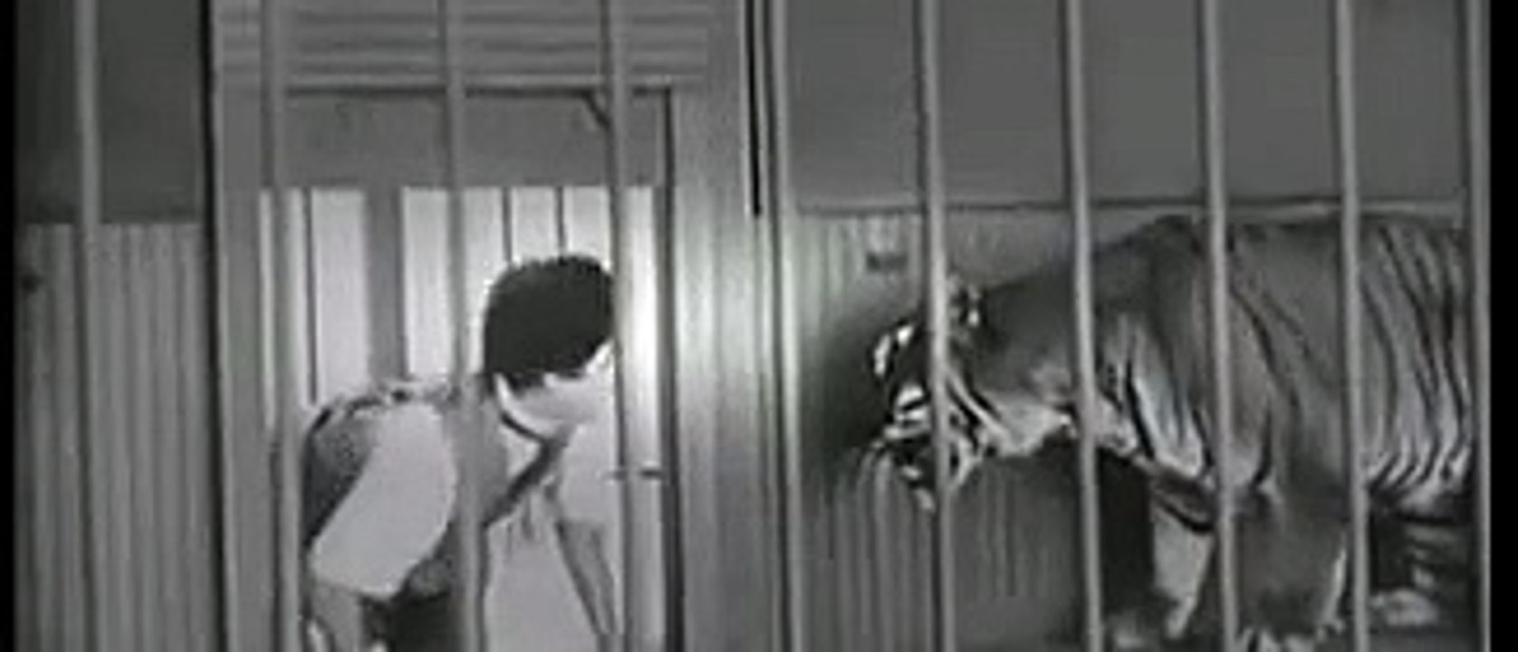 Los mejores gags de Charles Chaplin: la jaula del león