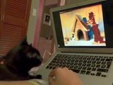 My cat watching russian cartoon 
