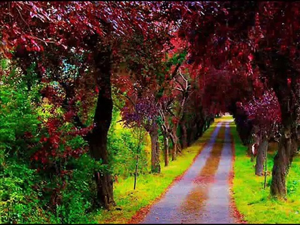 TITO EL BAMBINO LLUEVE EL  AMOR