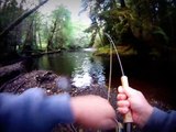 Haida Gwaii/Queen Charlotte Islands Coho Fly Fishing