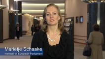 Cybercrime: Protecting the Individual and Small Businesses Online - Marietje Schaake - 15 Nov 2013