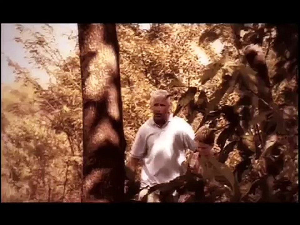 Tracy Lawrence "Til I Was A Daddy Too"