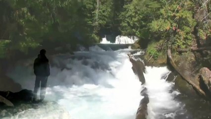 Ταξίδια στο φως - Βασίλης Παπακωνσταντίνου