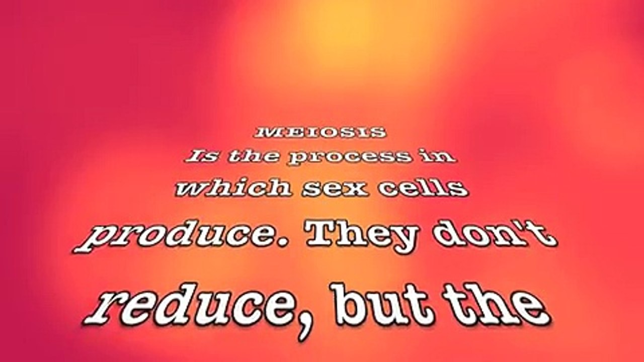 Meiosis Rap Song