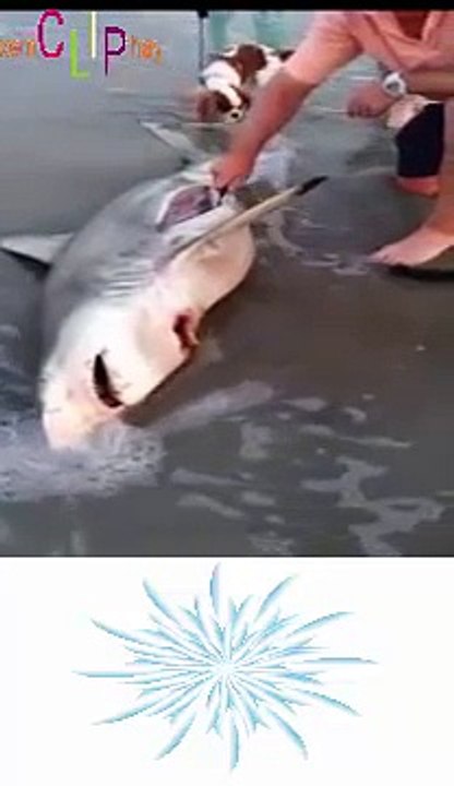 doremon│xem phim doremon│doremon tap cuoi│phim doremon tieng viet 2015