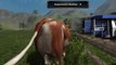 Landwirtschafts Simulator 2011 | Farming Simulator 2011 | Herding Cows Bug :)