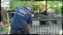 Emergency Animal Shelters