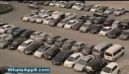 Dog Is The Best Friend Of Human - Heart Touching...