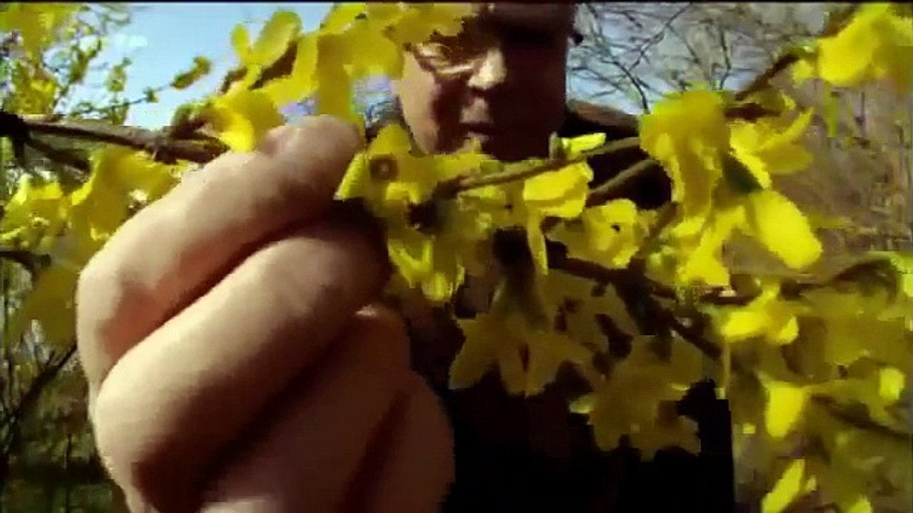 WILDES HAMBURG Tiere in der Stadt (DOKU Deutsch)