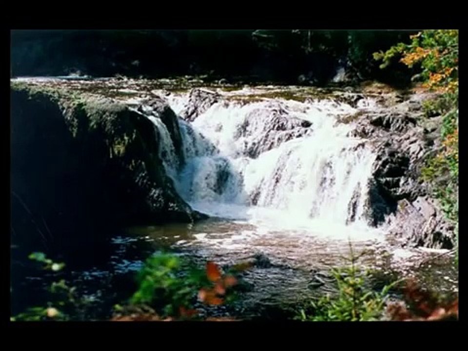 The Michigan Dogman: Evidence (2008)