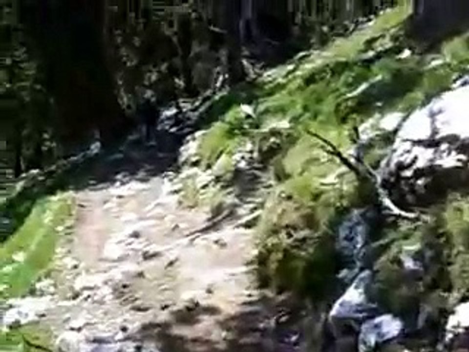 Τα μουλαρια του Ολυμπου!