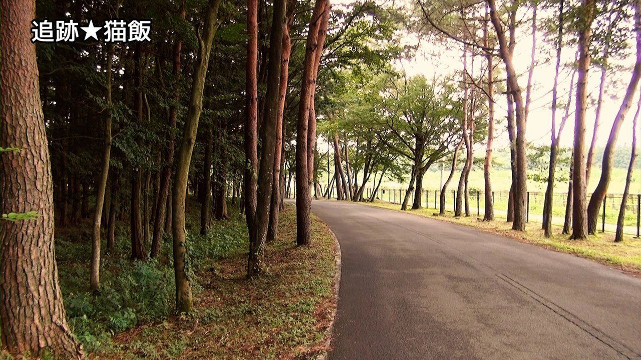 2015 那須高原
