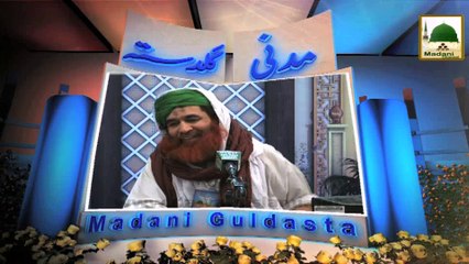 Bismillah Kehna Kab Mana Hai - Madani Guldasta 488 - Maulana Ilyas Qadri