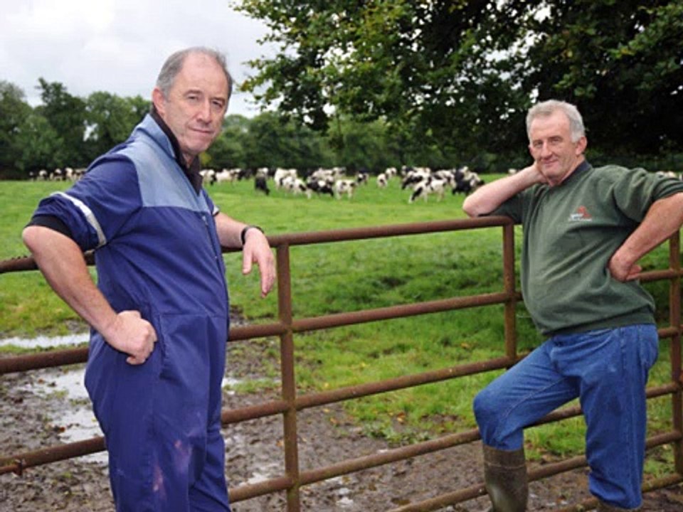 Retained placentas in Dairy cattle - Philip and Michael Kinane - Allsure boluses