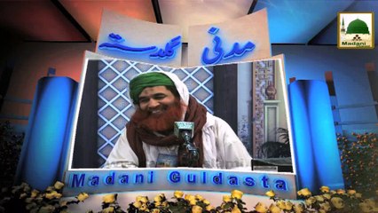 Wazu Main Qay Aana - Madani Guldasta 575 - Maulana Ilyas Qadri