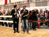 Connemara-Hengst AC-Samson af Engvang Hund und Pferd Dortmund 2011