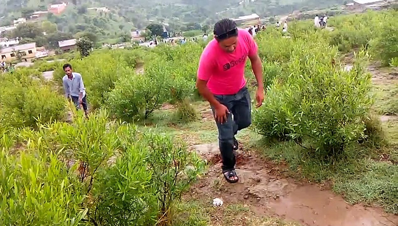 sallu wid reverse gear