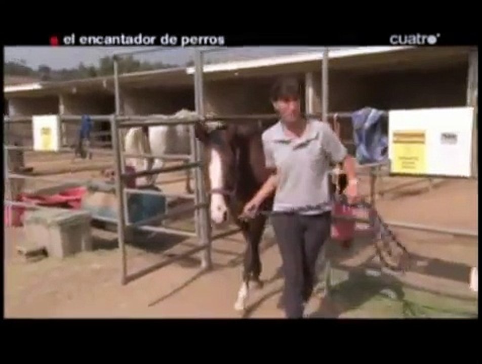 el encantador de perros - El Encantador de Caballos(5ªTemp.)(2de4)