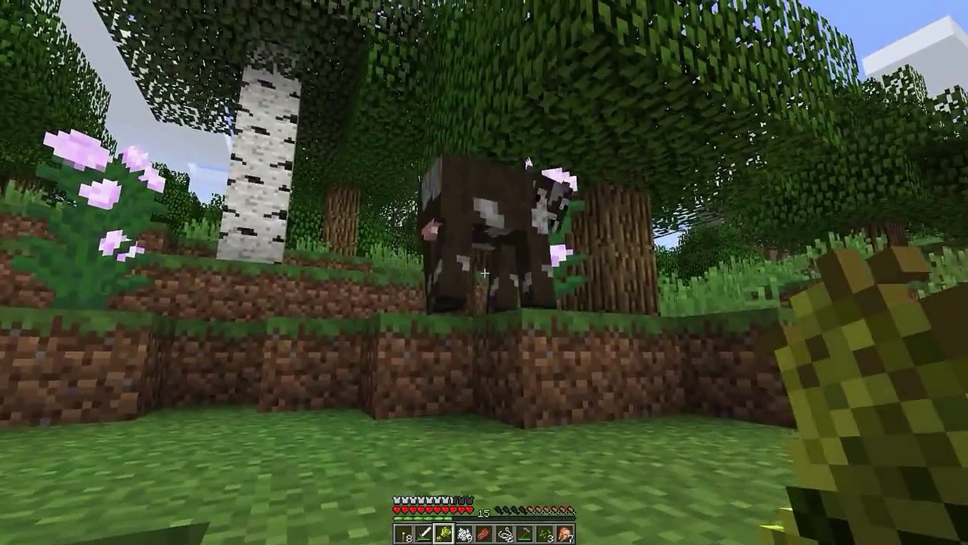 Minecraft Survival Home Is Where Your Chest Is #03