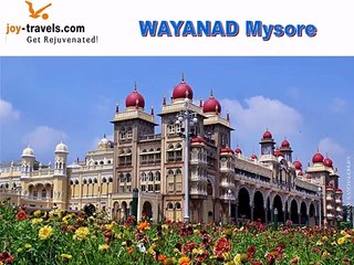 South India Tour guide joy travels