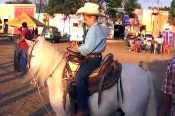 The Bull that Killed One Hundred Horses