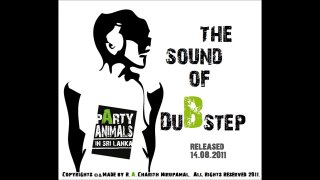 The Sound Of Dubstep (Party Animals In Sri Lanka.) - 01