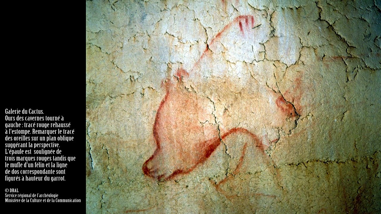 Ardèche - La Grotte Chauvet, Art pariétal de plus de 31 000 ans