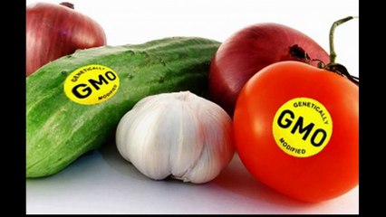 Lone Wolf Streaming Freedom Broadcast Reviews JFK TO 911 Chapter 1