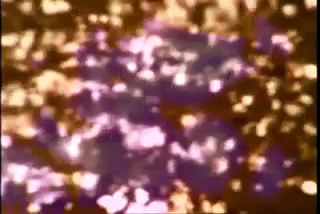 Steve Winwood & Jim Capaldi   The Low Spark Of High Heeled Boys