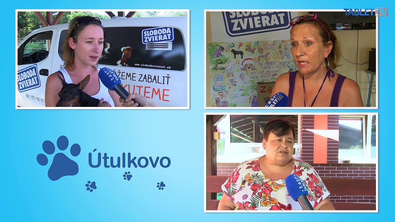 Sloboda zvierat pomôže s kastráciou mačiek z Patrónky