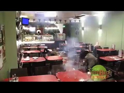 Harry Potter and the Deathly Hallows Part 1 Behind The Scenes 360p