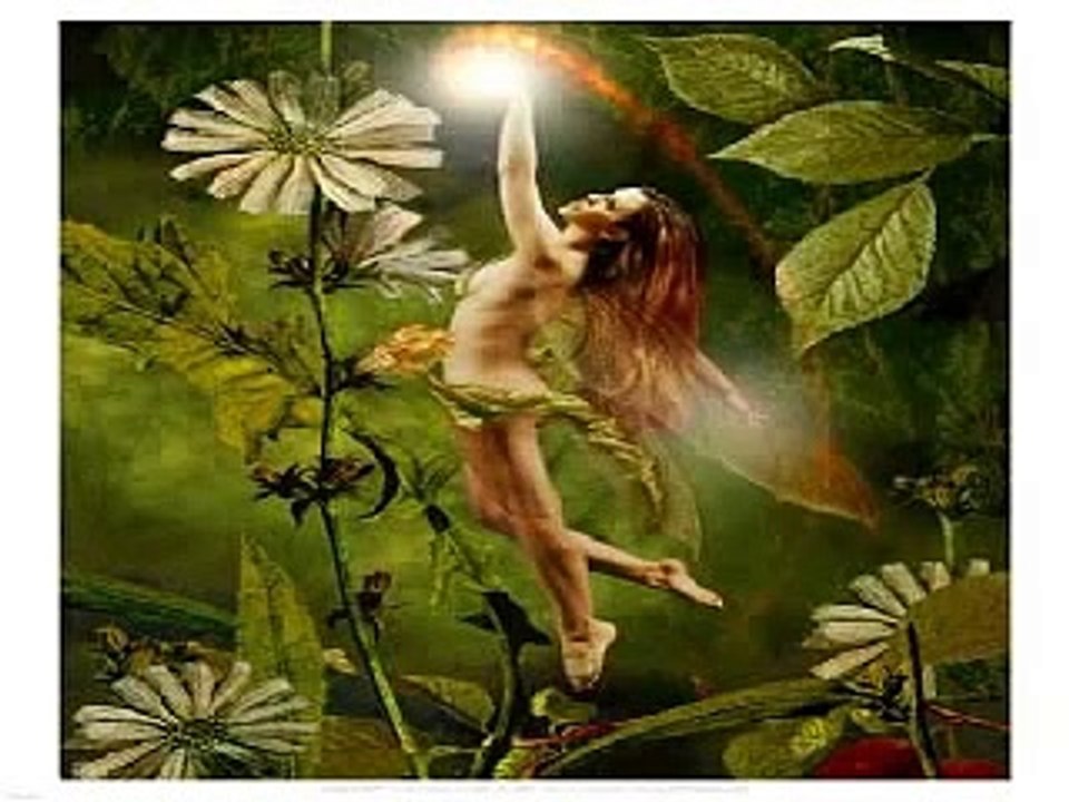 Canto del cardellino