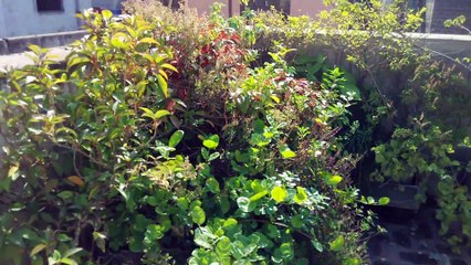 Camera Test and Video Sample