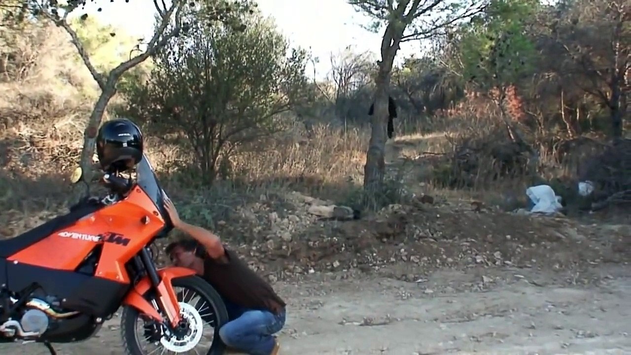 Gorille en Tunisie.  Caméra cachée tunisienne