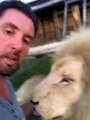 Man plays with his pet lion