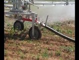 Sular tarım sulama makineleri, Buğday Sulama Sistemleri, buğday sulama