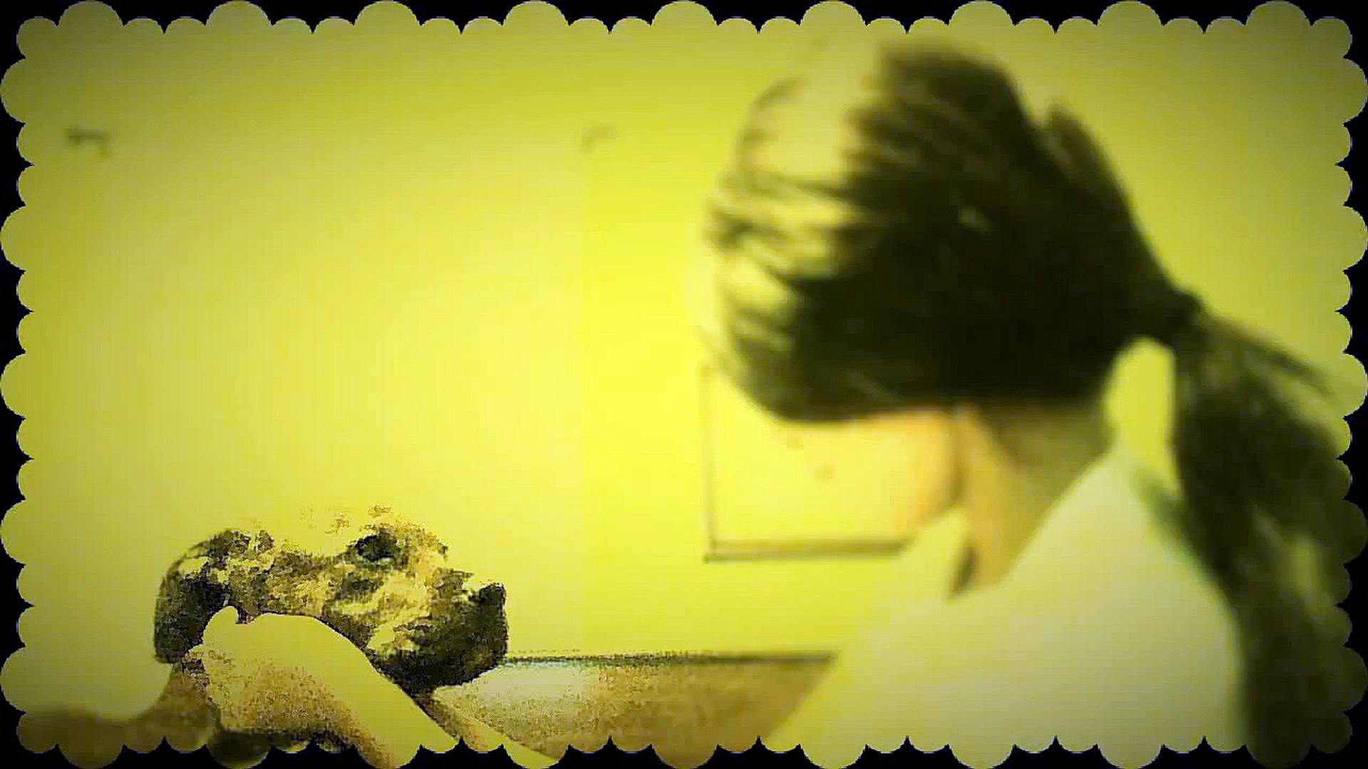 My cute animals