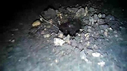 Amazing Sinkholes after 7.2 earthquake Bohol, Philippines