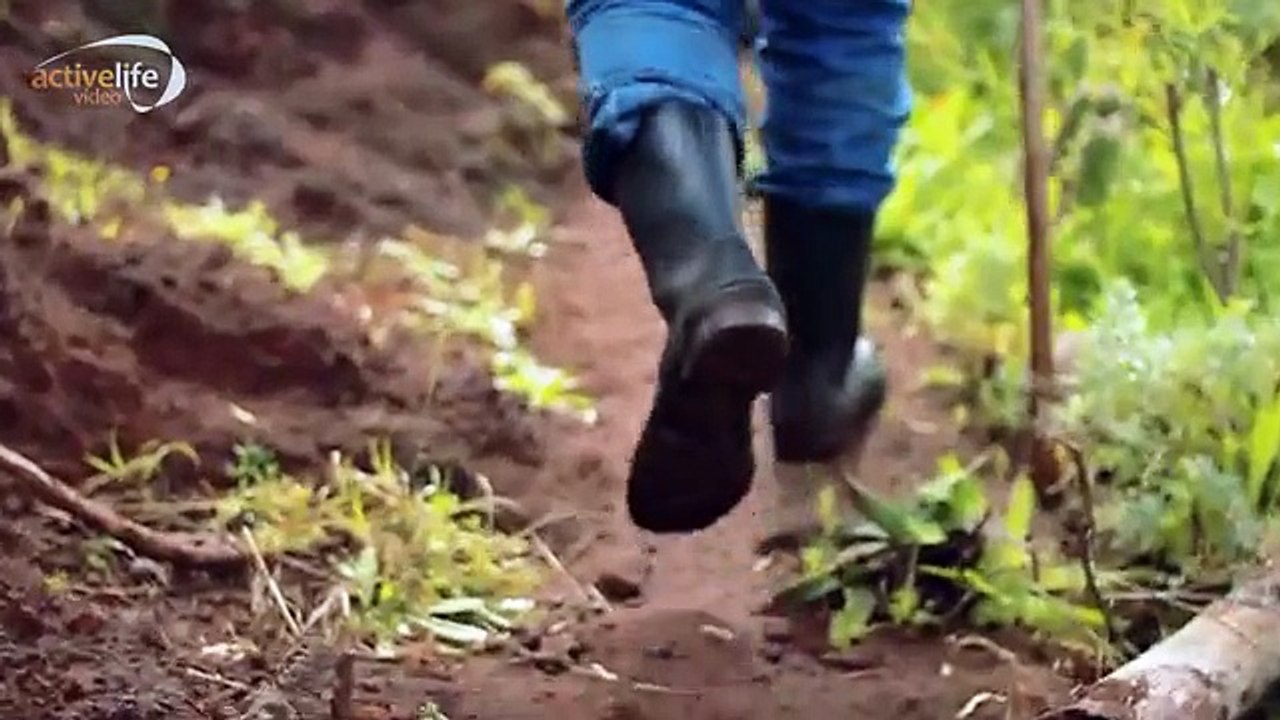 Дикая природа Тенерифе Amazing nature Tenerife