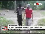 Penjudi Adu Jangkrik Kocar-kacir Digerebek Polisi