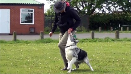 Shirley Clowes obedience training may 2015
